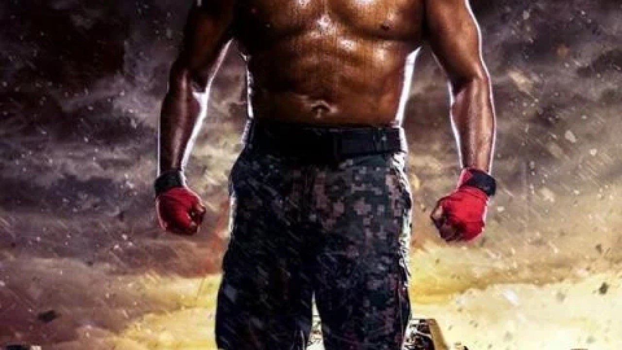 Vivegam ( 2017 )