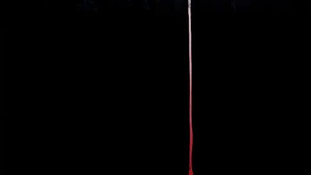 Dark Windows ( 2023 )