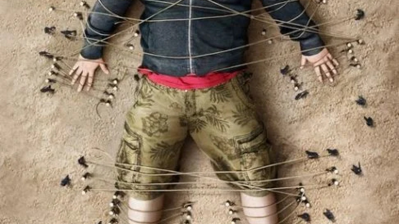 Gulliver's Travels ( 2010 )